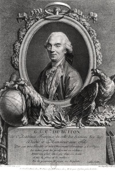 Georges-Louis Leclerc (1707-88) Conde de Buffon, grabado por Vincenzio Vangelisti (1738-98) 1777 de Andre Pujos